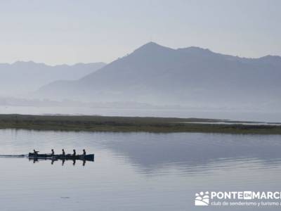 Marismas de Santoña (visita Ornitológica).; excursiones alrededores de madrid